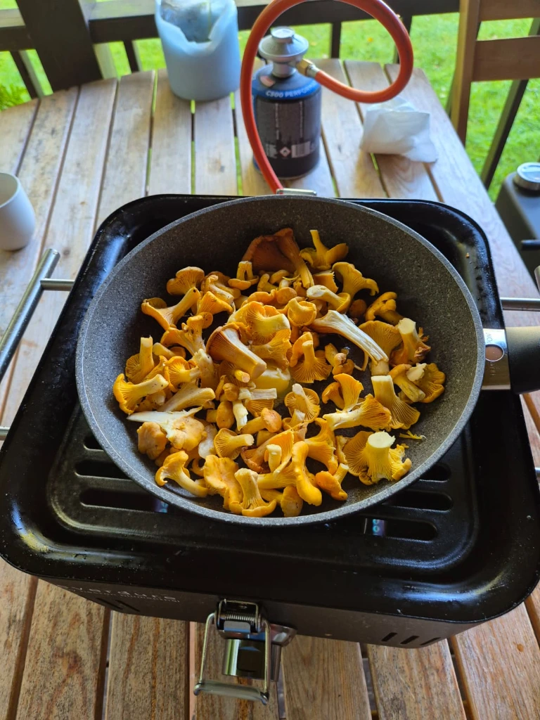 Everdure Cube in Sweden.webp