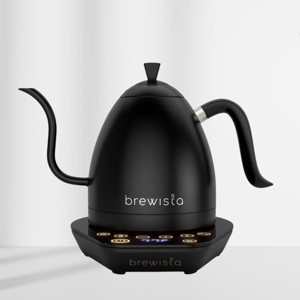 Brewista Wasserkocher 1L schwarz