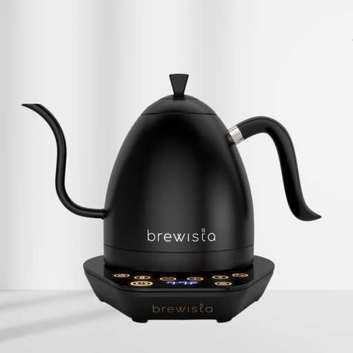 Brewista Wasserkocher 1L schwarz